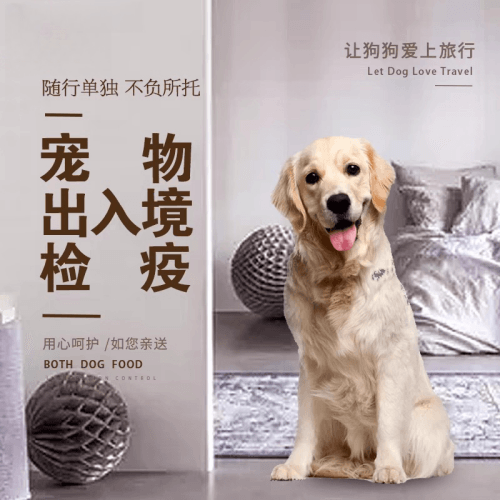 台中市宠物托运到哥伦比亚猫狗宠物入境规定和