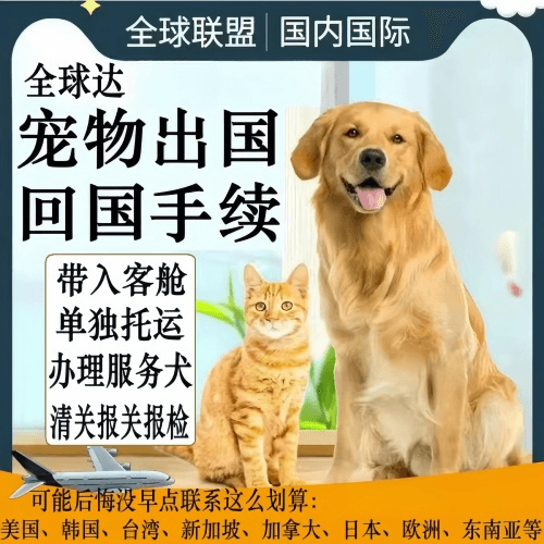 台中市宠物托运到柬埔寨宠物入境规定和要求