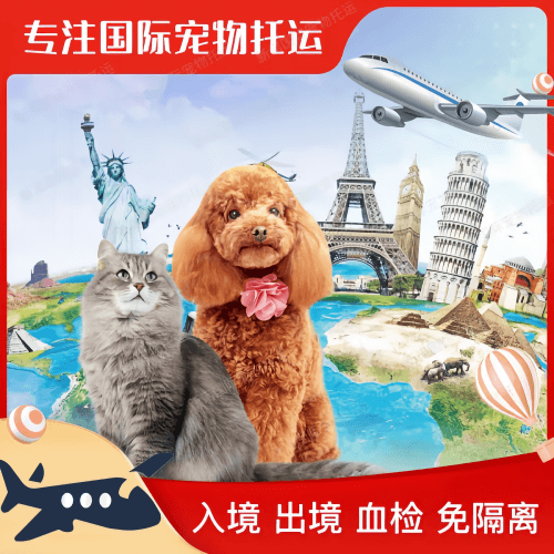台中市宠物托运到美国宠物入境最新规定和要求
