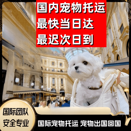 台中市到澳大利亚（澳洲）宠物入境规定和要求