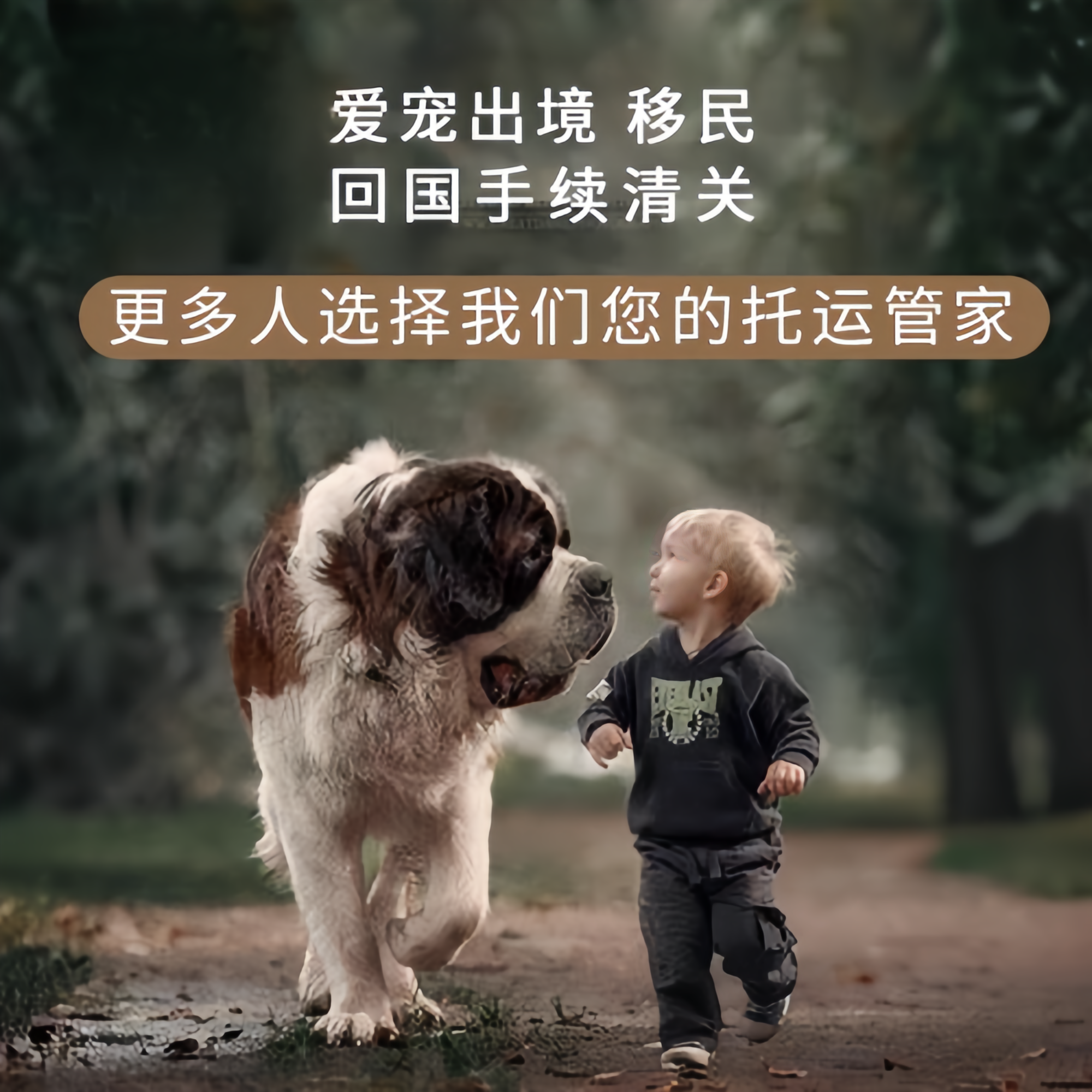 满财台中市宠物全球达宠物托运在遵守入境目的地政策的条件