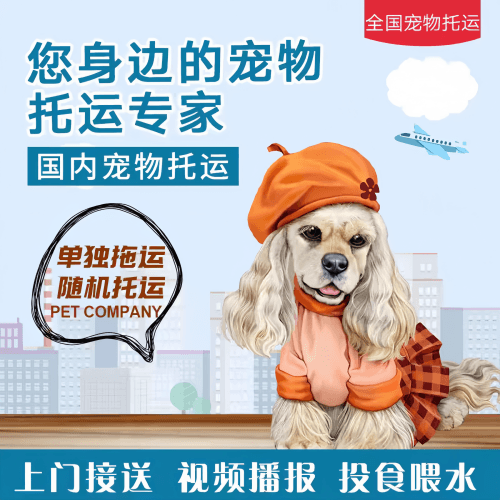 满财台中市宠物全球达宠物托运作为专业的宠物运输代理机构